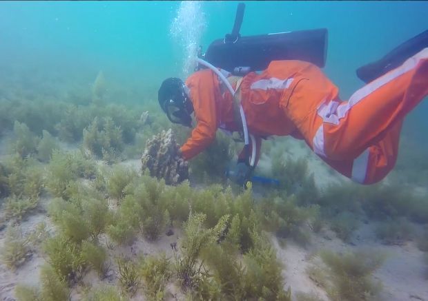 壹定发·(EDF)最新官方网站