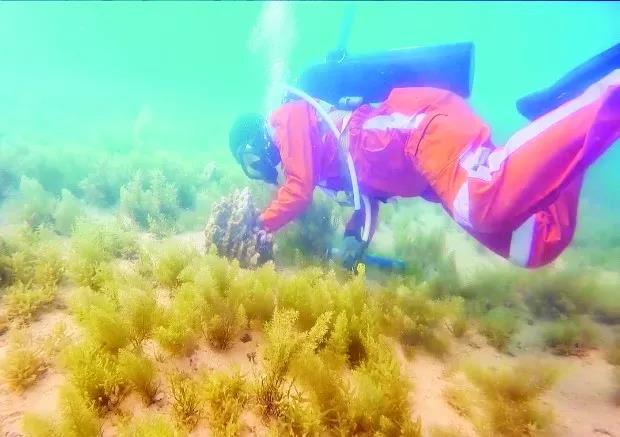 壹定发·(EDF)最新官方网站