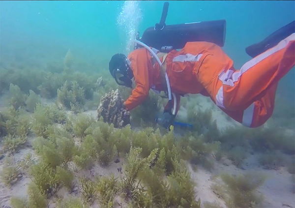 壹定发·(EDF)最新官方网站