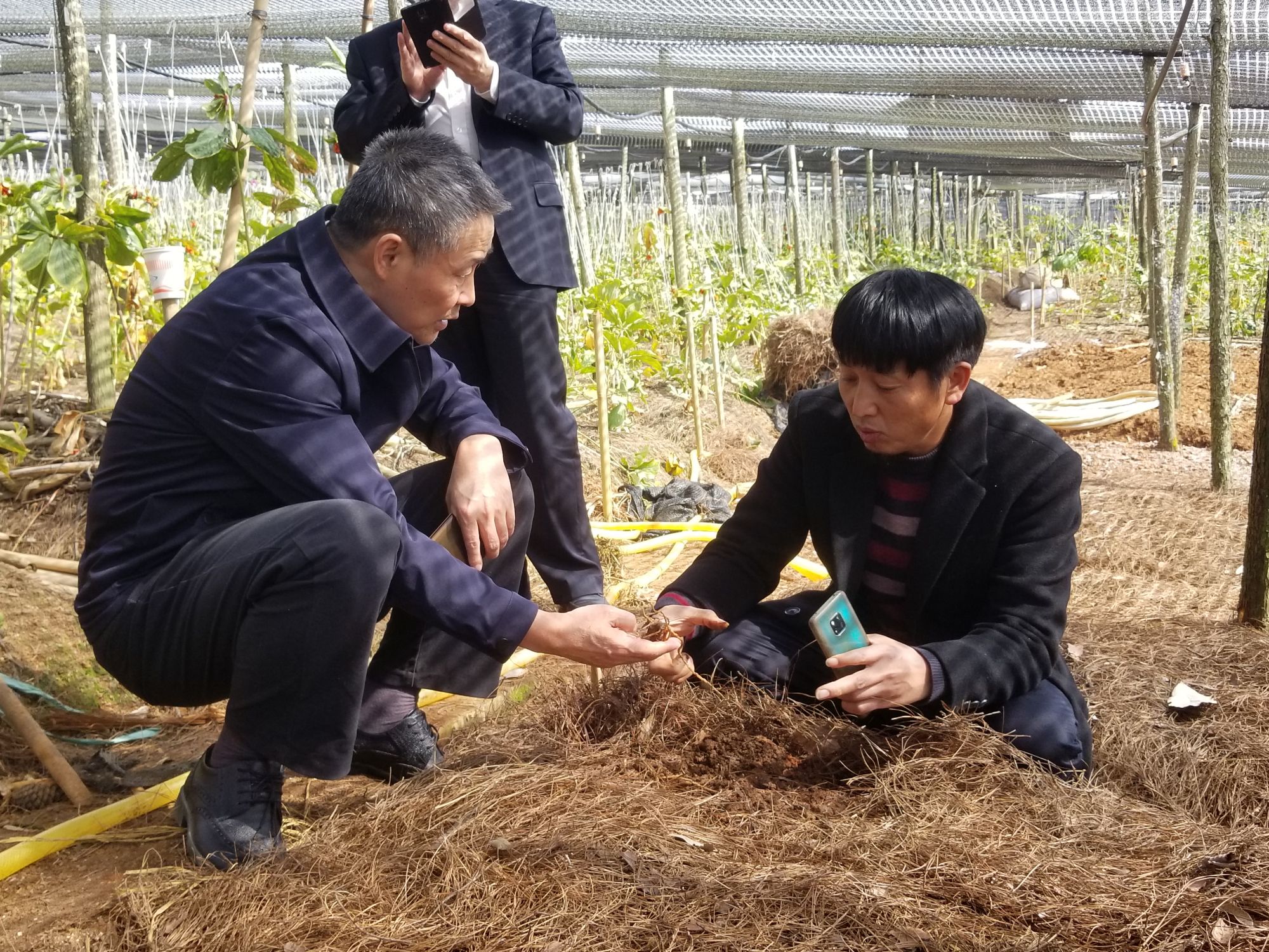 壹定发·(EDF)最新官方网站