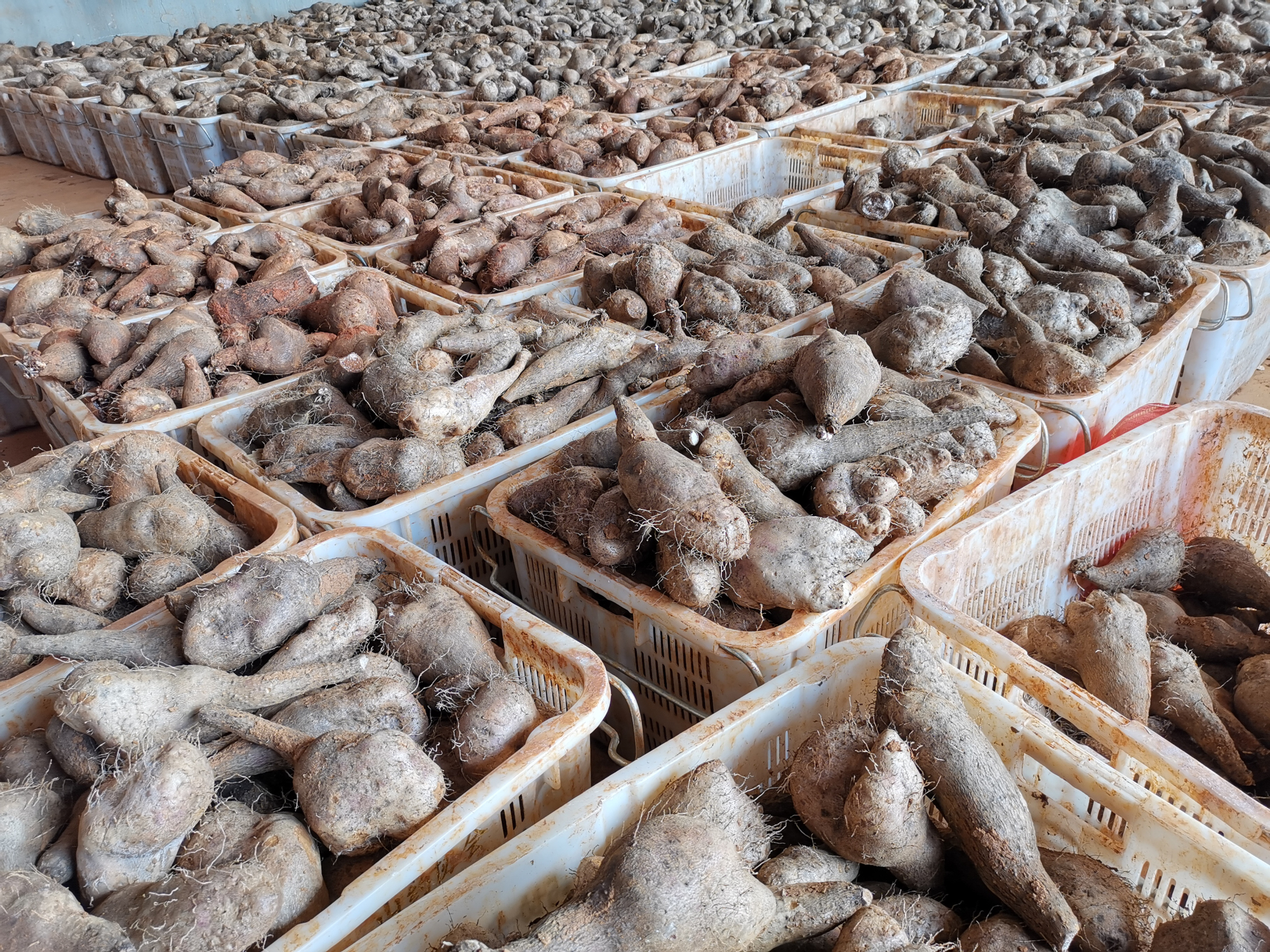 壹定发·(EDF)最新官方网站