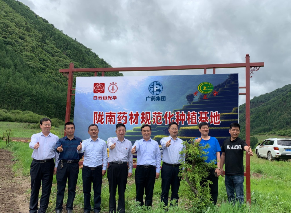 ҩĺҩź ɽС淶ݪֲʽƣ